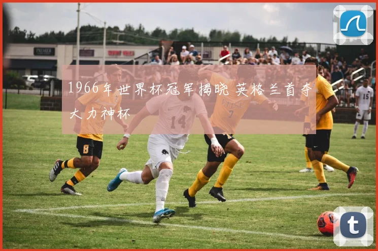 1966年世界杯冠军揭晓 英格兰首夺大力神杯