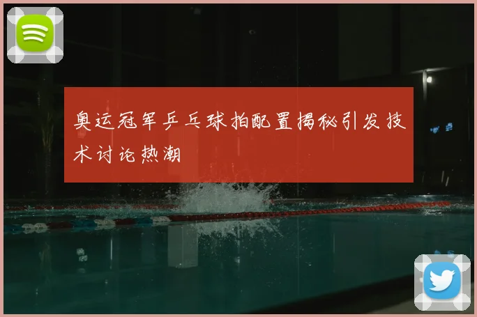 奥运冠军乒乓球拍配置揭秘引发技术讨论热潮
