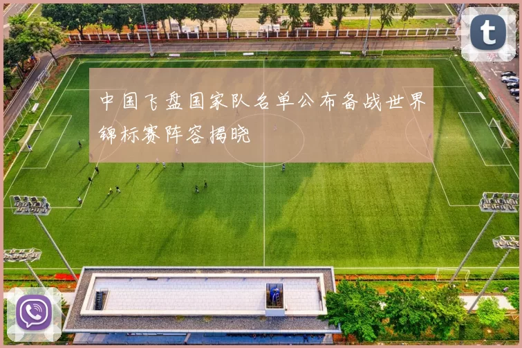 中国飞盘国家队名单公布备战世界锦标赛阵容揭晓