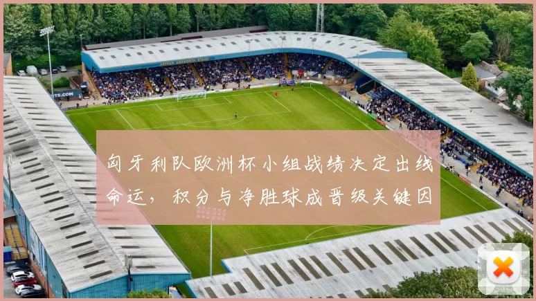 匈牙利队欧洲杯小组战绩决定出线命运，积分与净胜球成晋级关键因素