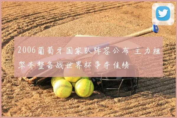 2006葡萄牙国家队阵容公布 主力框架齐整备战世界杯争夺佳绩