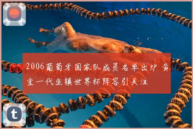 2006葡萄牙国家队成员名单出炉 黄金一代坐镇世界杯阵容引关注