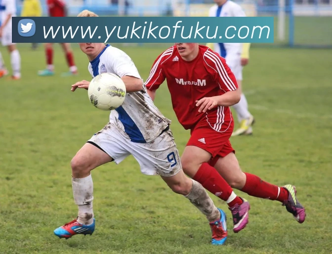 mksports官网平台生态图